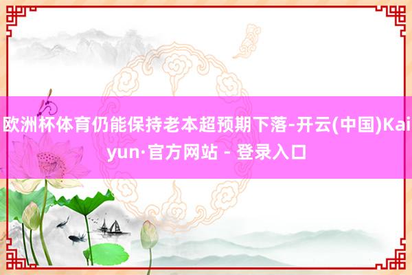 欧洲杯体育仍能保持老本超预期下落-开云(中国)Kaiyun·官方网站 - 登录入口