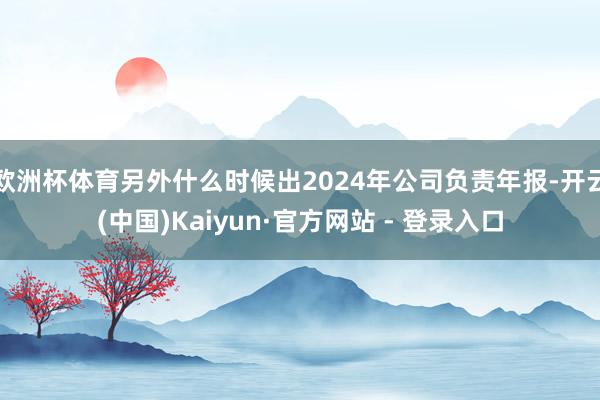 欧洲杯体育另外什么时候出2024年公司负责年报-开云(中国)Kaiyun·官方网站 - 登录入口