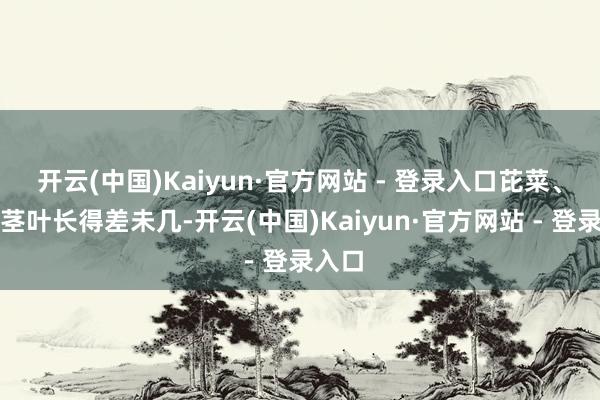 开云(中国)Kaiyun·官方网站 - 登录入口芘菜、草籽茎叶长得差未几-开云(中国)Kaiyun·官方网站 - 登录入口