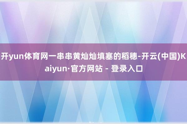开yun体育网一串串黄灿灿填塞的稻穗-开云(中国)Kaiyun·官方网站 - 登录入口